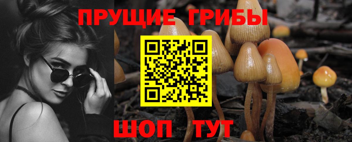 Галлюциногенные грибы Psilocybe Воскресенск